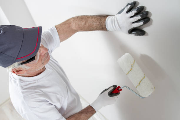 Professional Mold Removal in Falmouth, VA